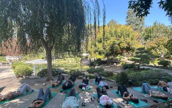 Yoga in the Gardens