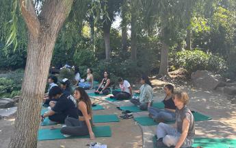 Yoga in the Gardens
