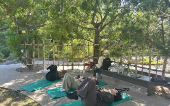 Yoga in the Gardens