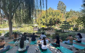 Yoga in the Gardens
