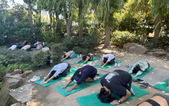 Yoga in the Gardens