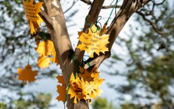 Thankful Tree Event 