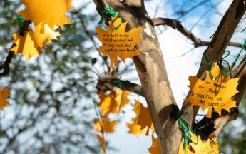 Thankful Tree Event 