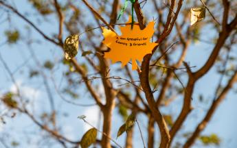 Thankful Tree Event 