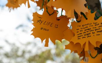 Thankful Tree Event 