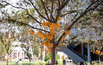 Thankful Tree Event 
