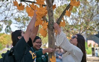 Thankful Tree Event 