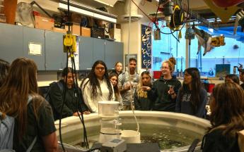 Students around a pool