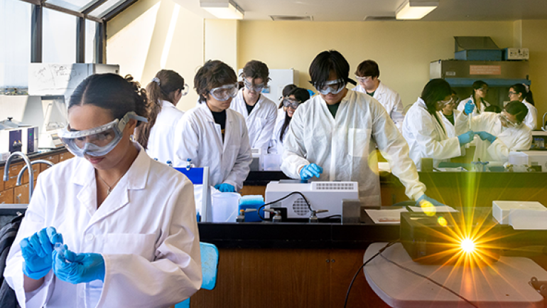 Students working together in the science laboratory