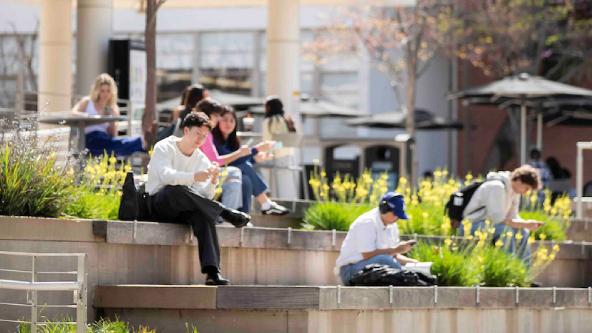 Students relaxing in upper campus 