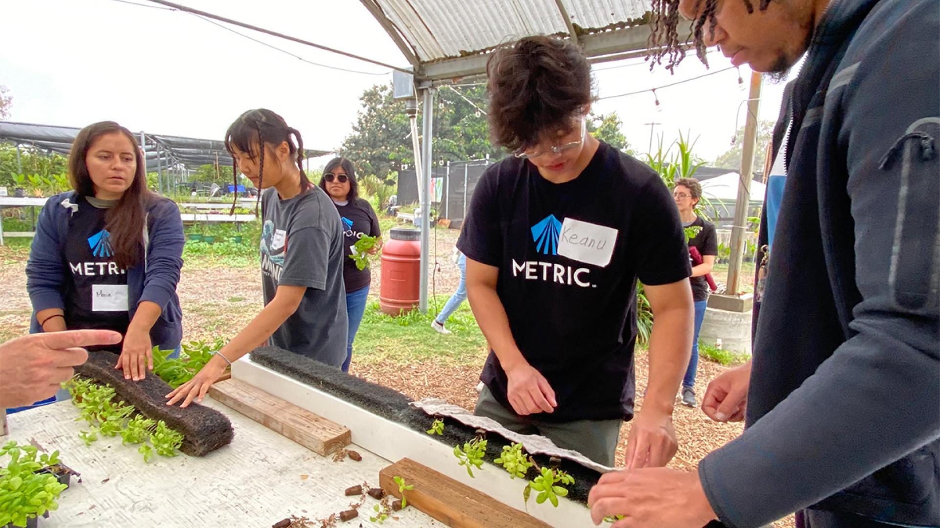 students building aquaponics system