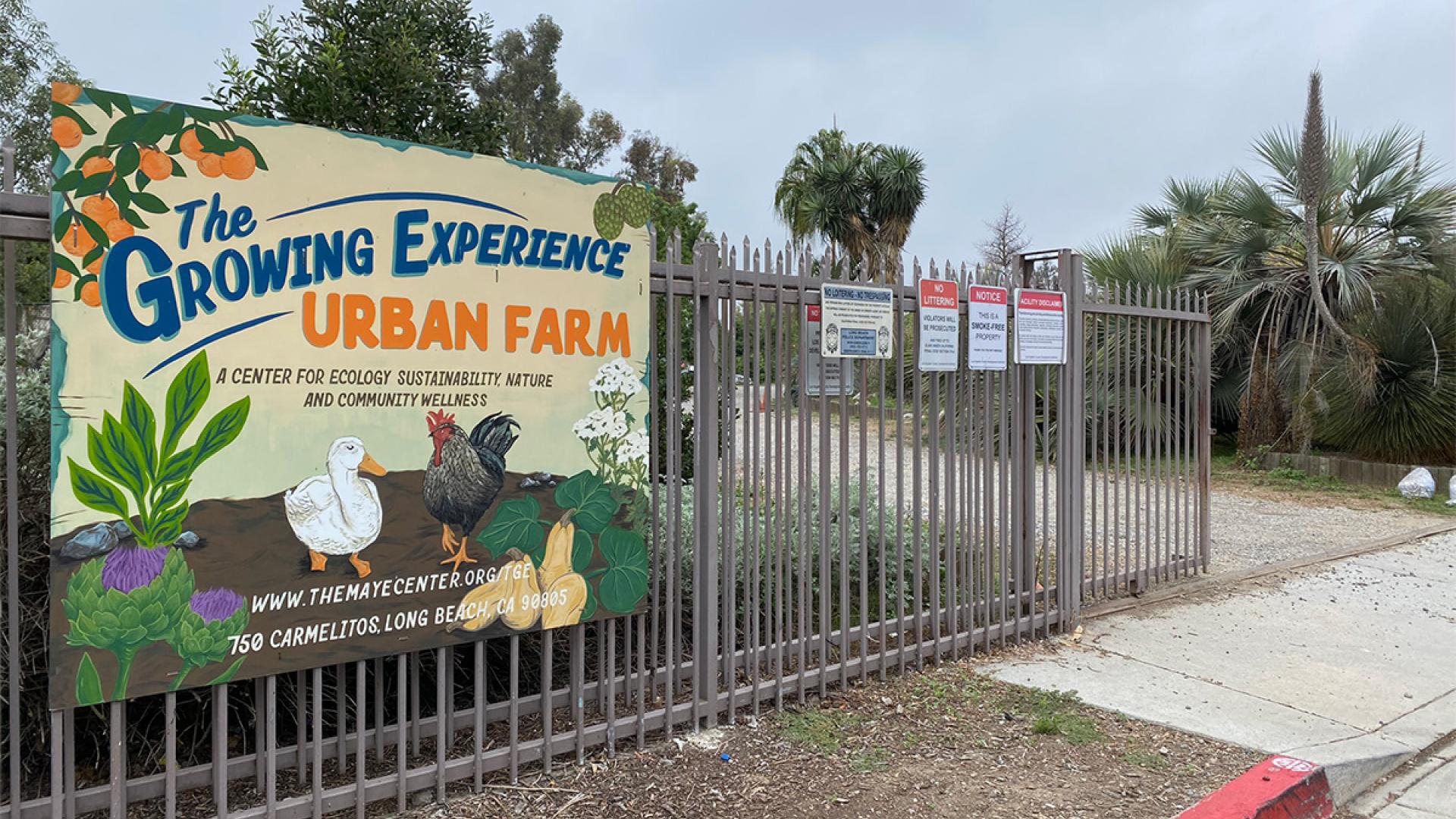 The Growing Experience Urban Farm