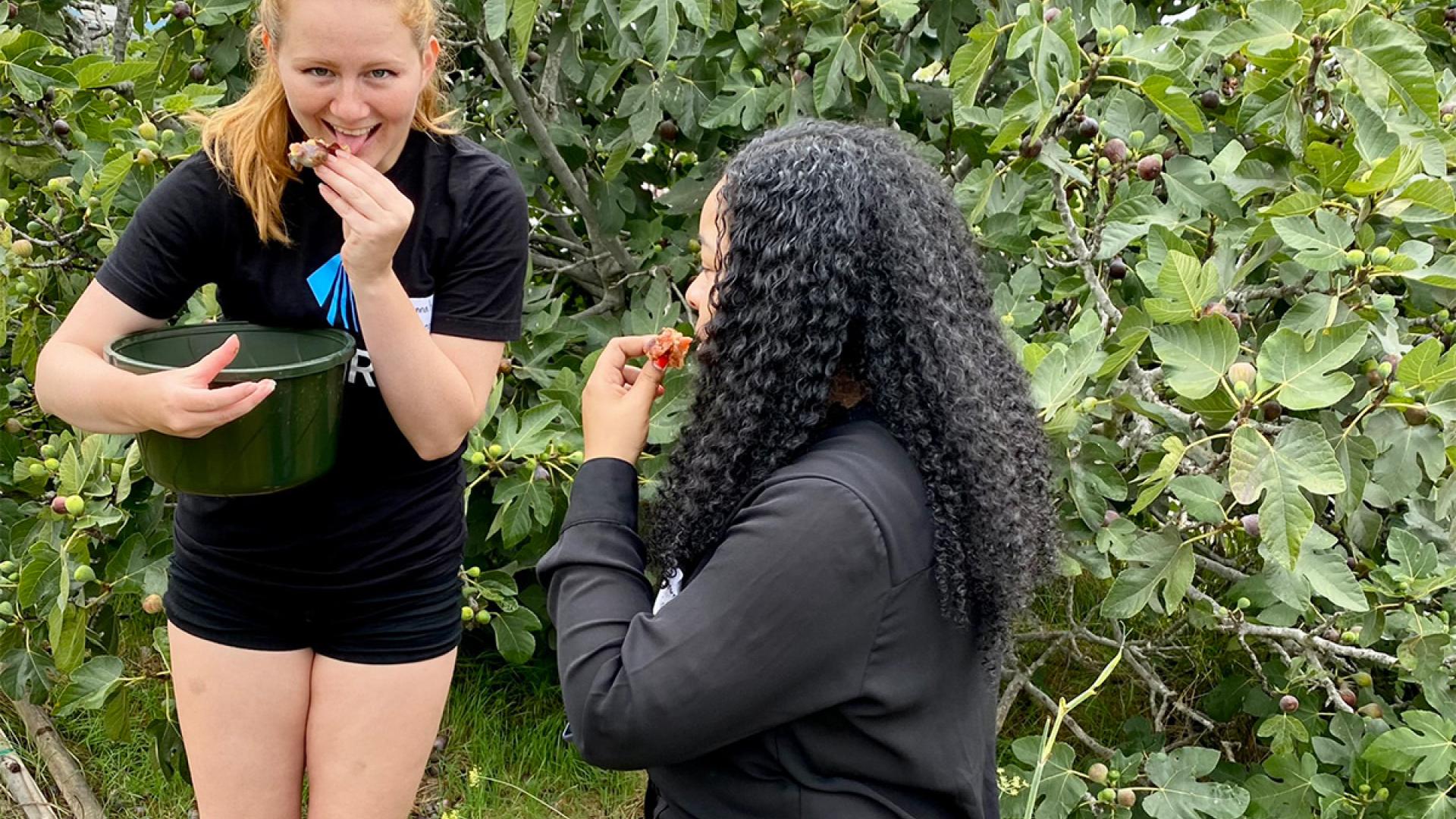 students eating figs
