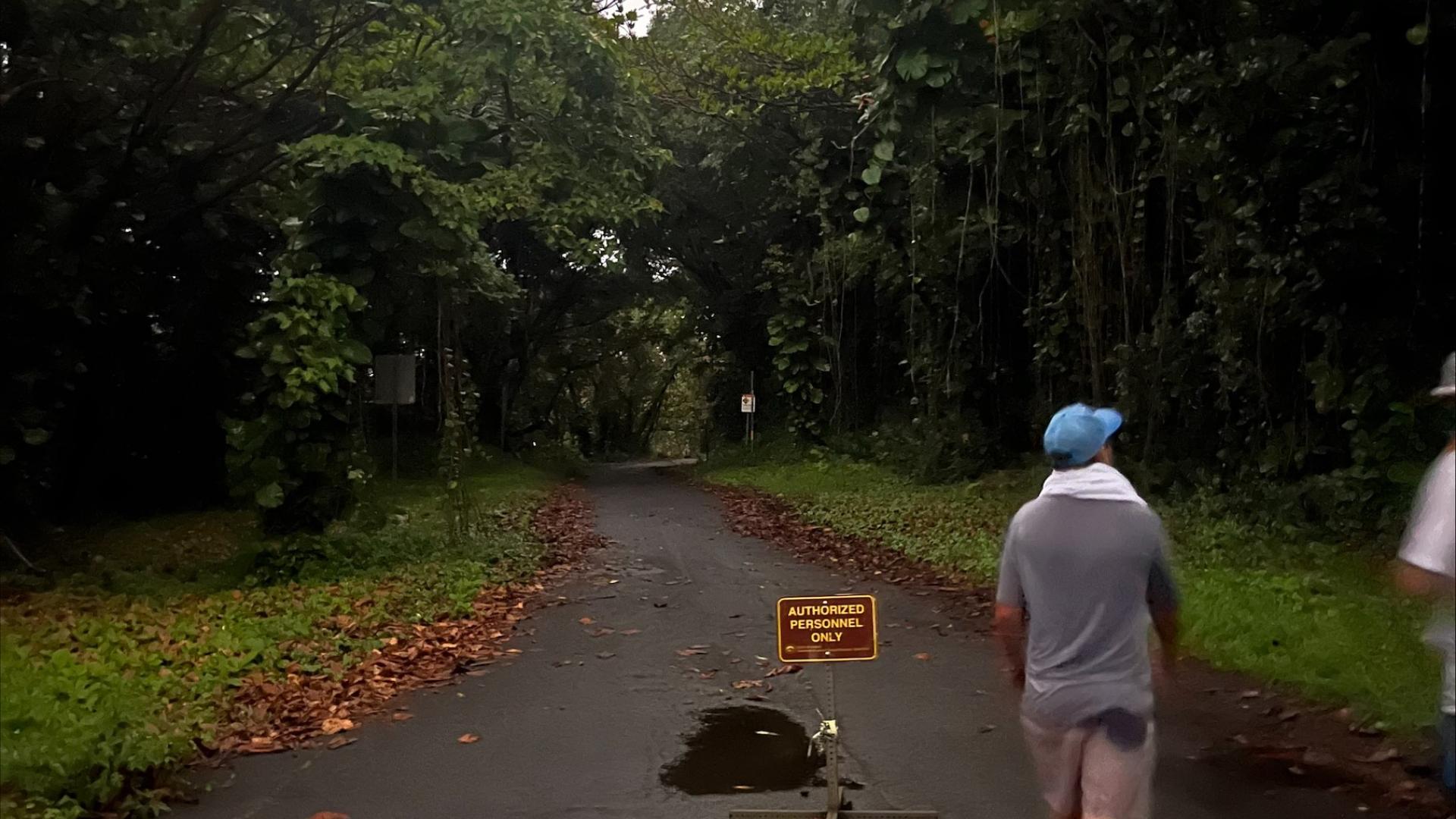 Bryce walking in nature 