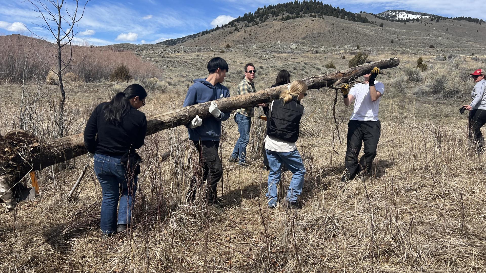 group of students moving a tree in a national park