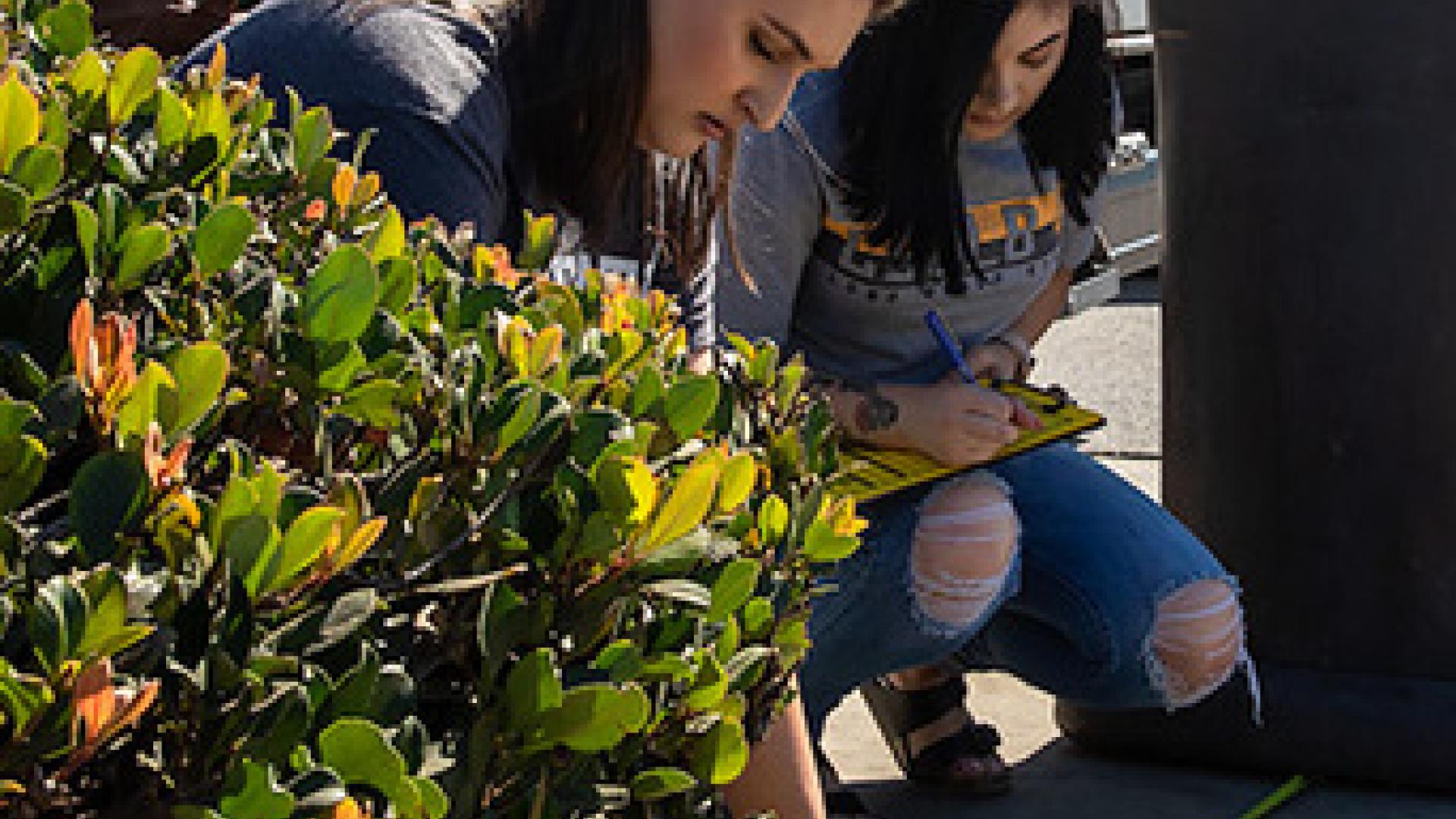 students taking measurements