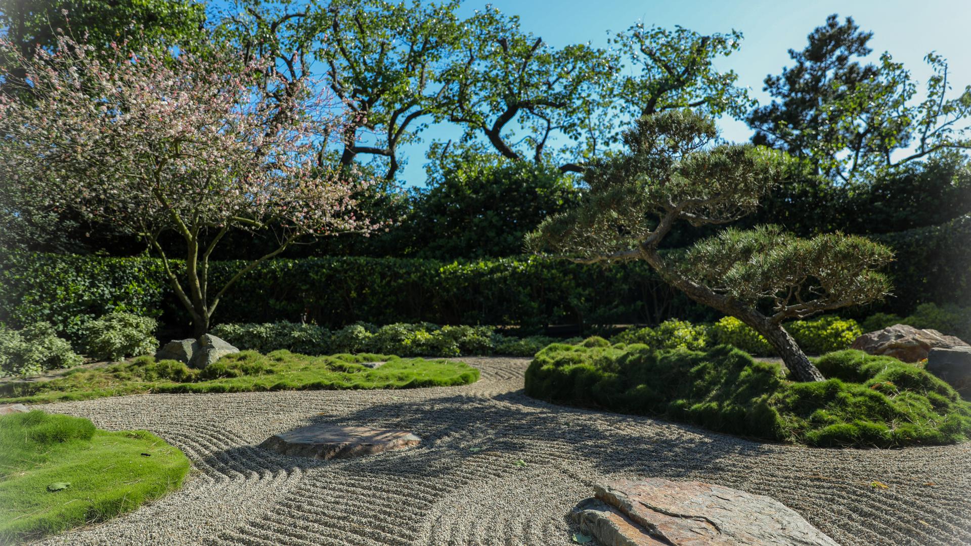 CSULB Green Generation Mixer and Sustainability Project Showcase - Japanese Garden