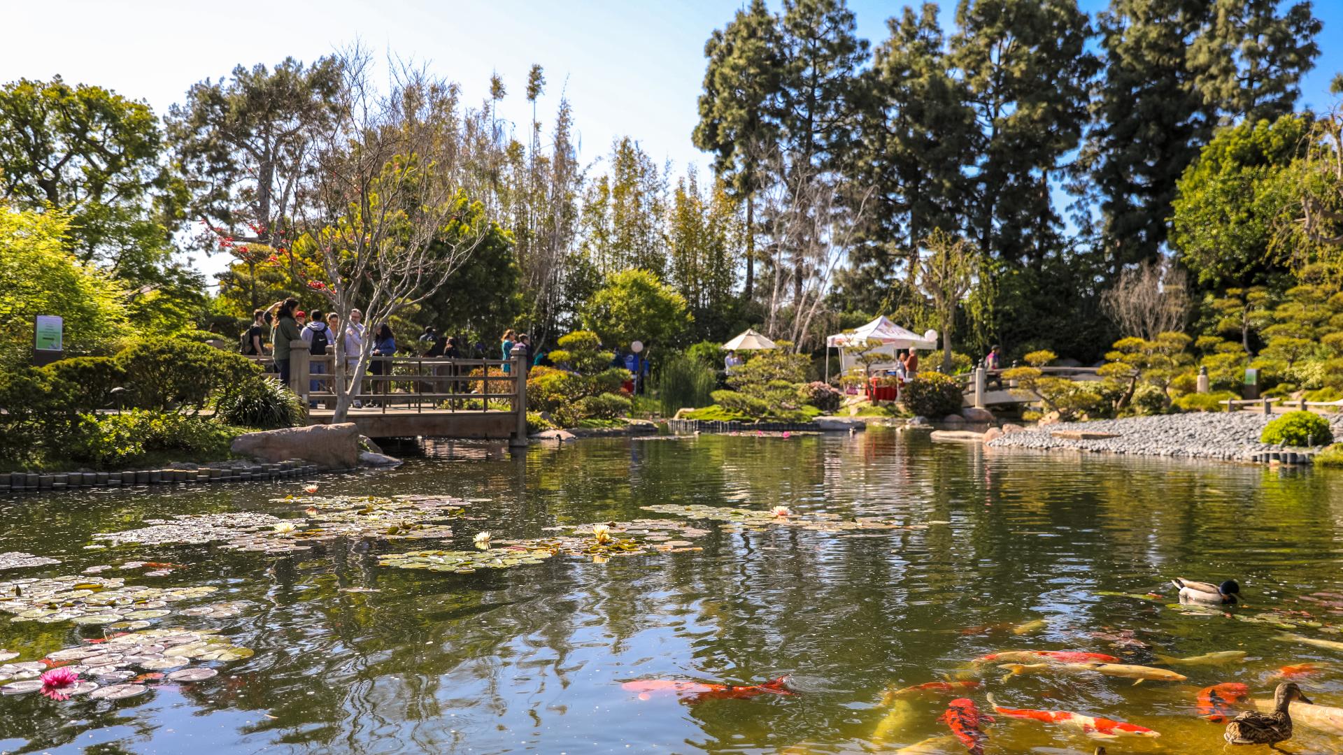 CSULB Green Generation Mixer and Sustainability Project Showcase - Japanese Garden