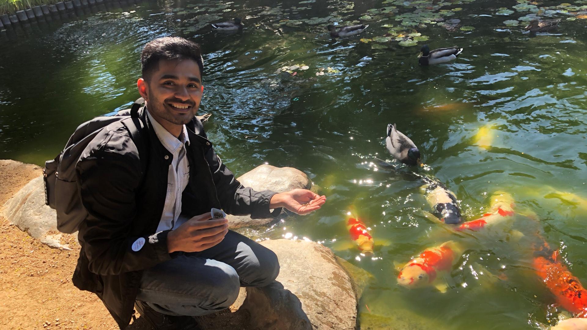 Feeding the Koi at the Japanese Garden 