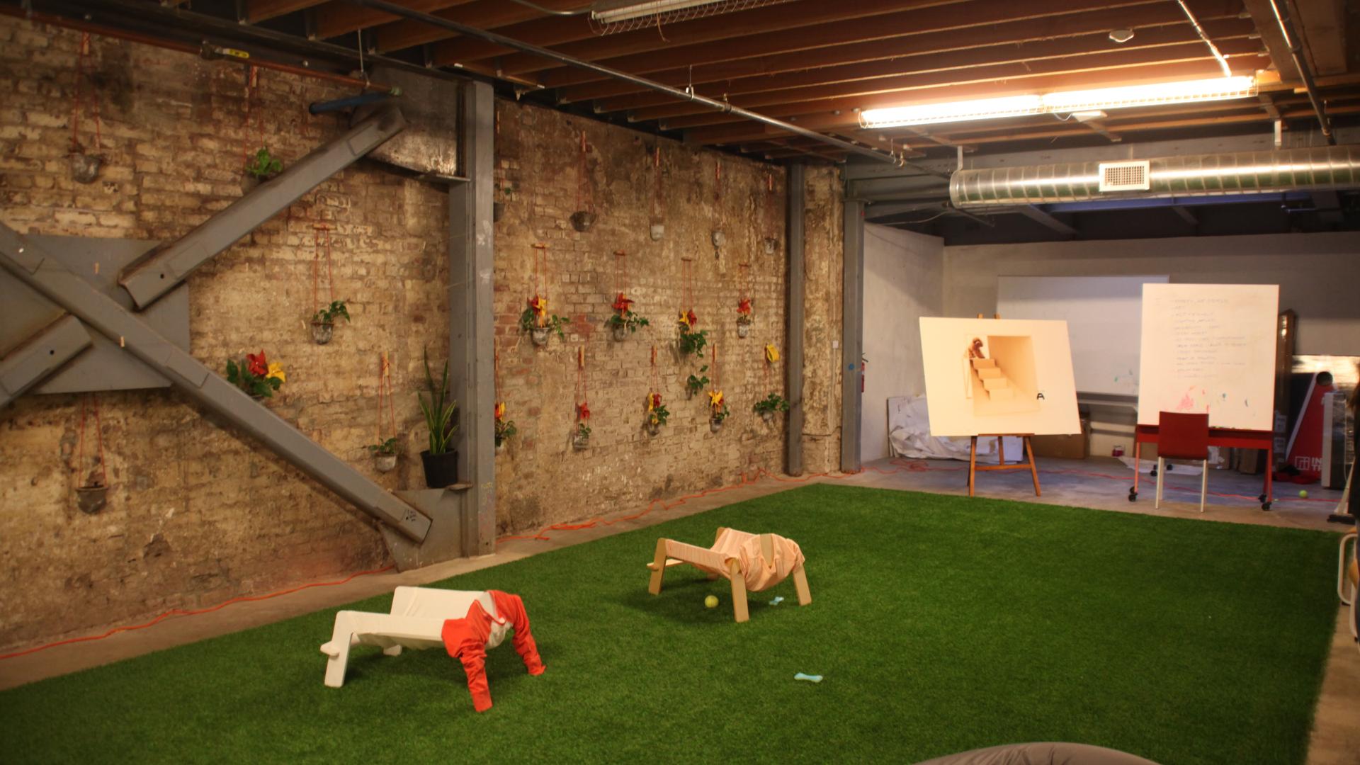 interTrend Site Visit - dog space