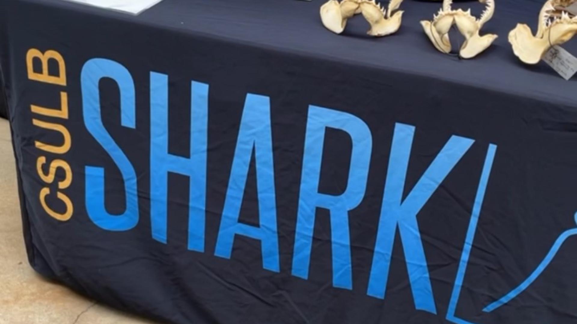 CSULB Shark Lab tabling