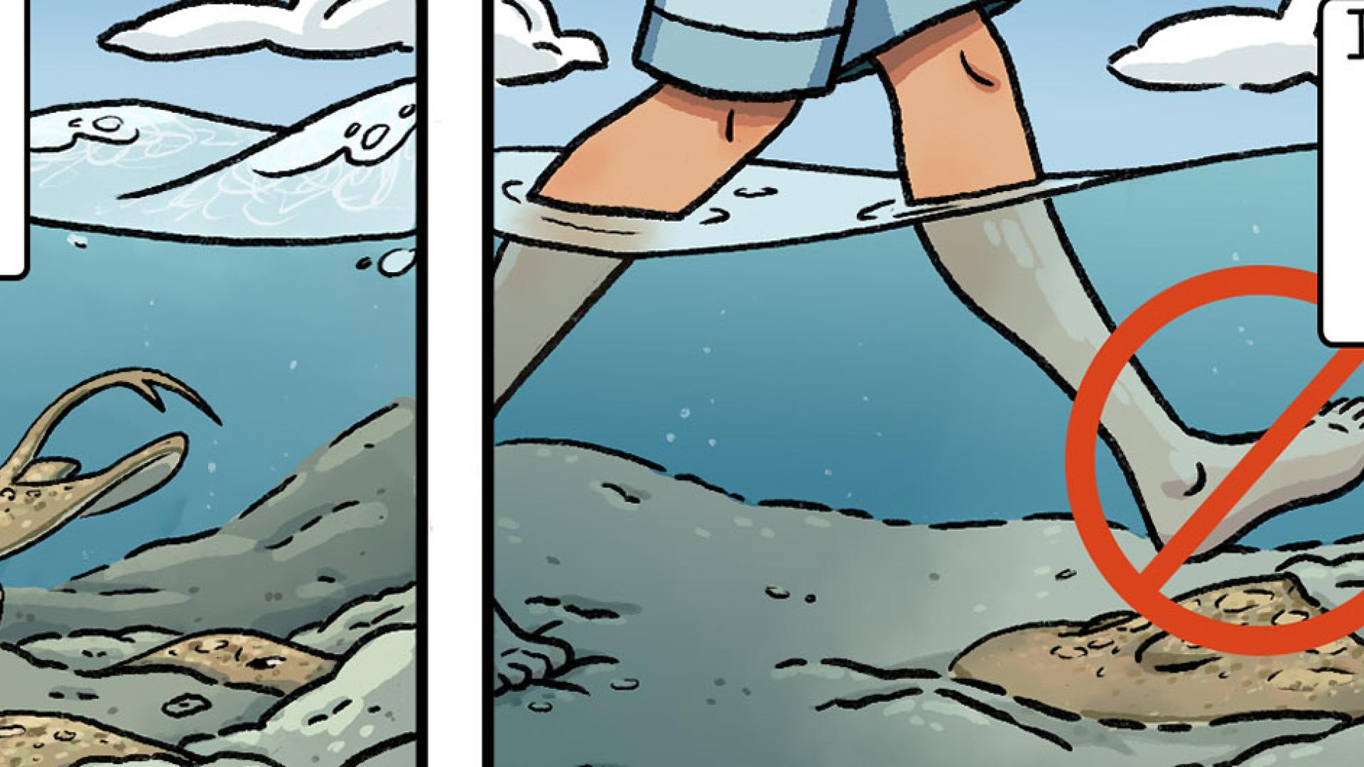 shark comic book shark comic book