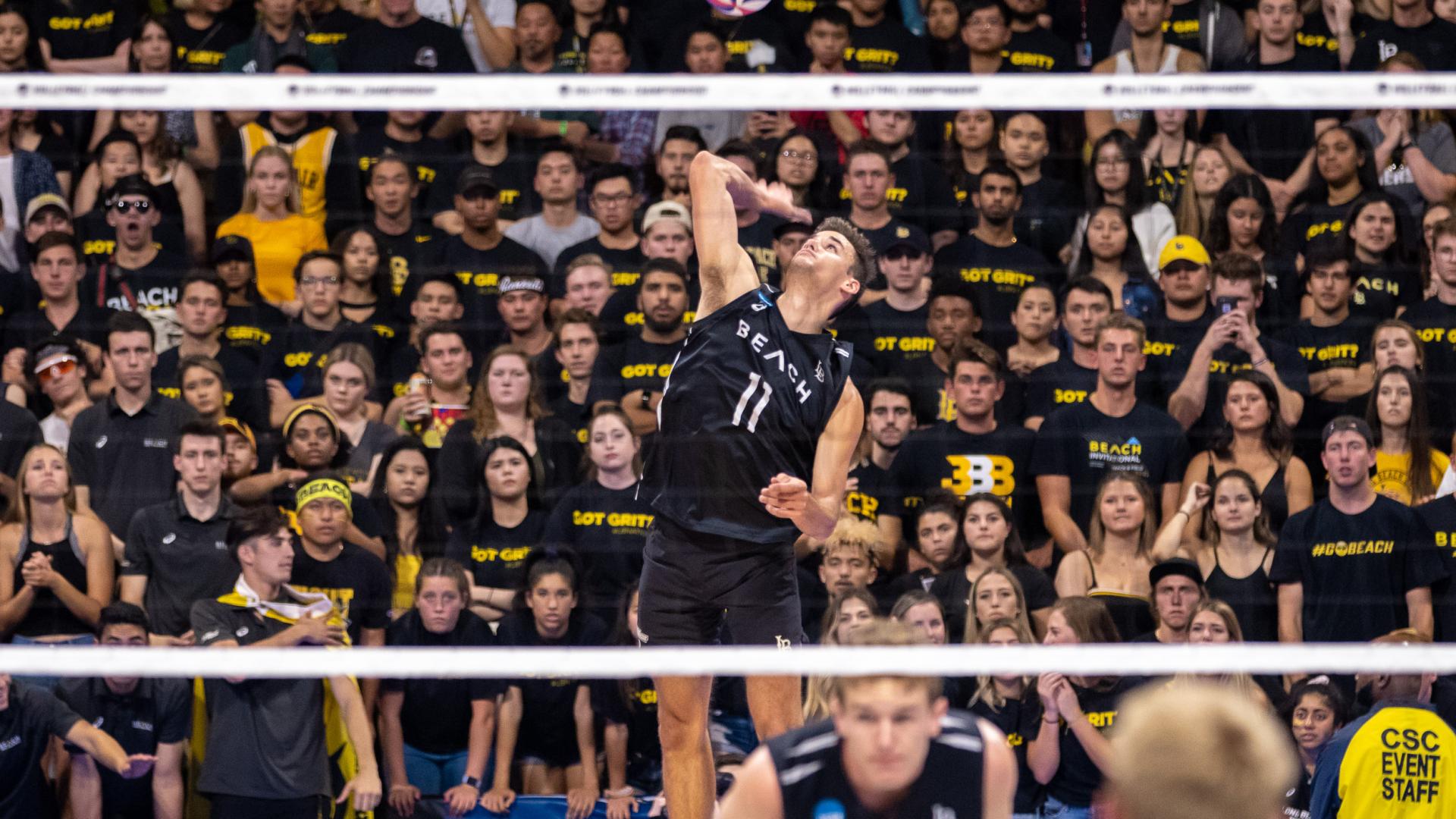 TJ Defalco spikes volleyball TJ Defalco spikes volleyball