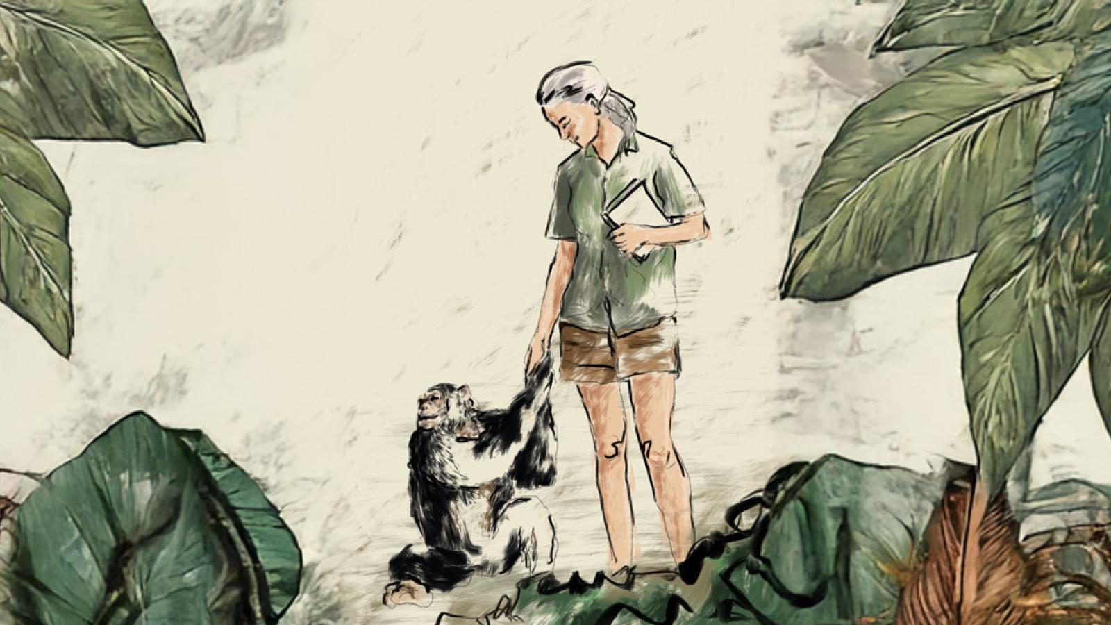 Jane Goodall with chimpanzee