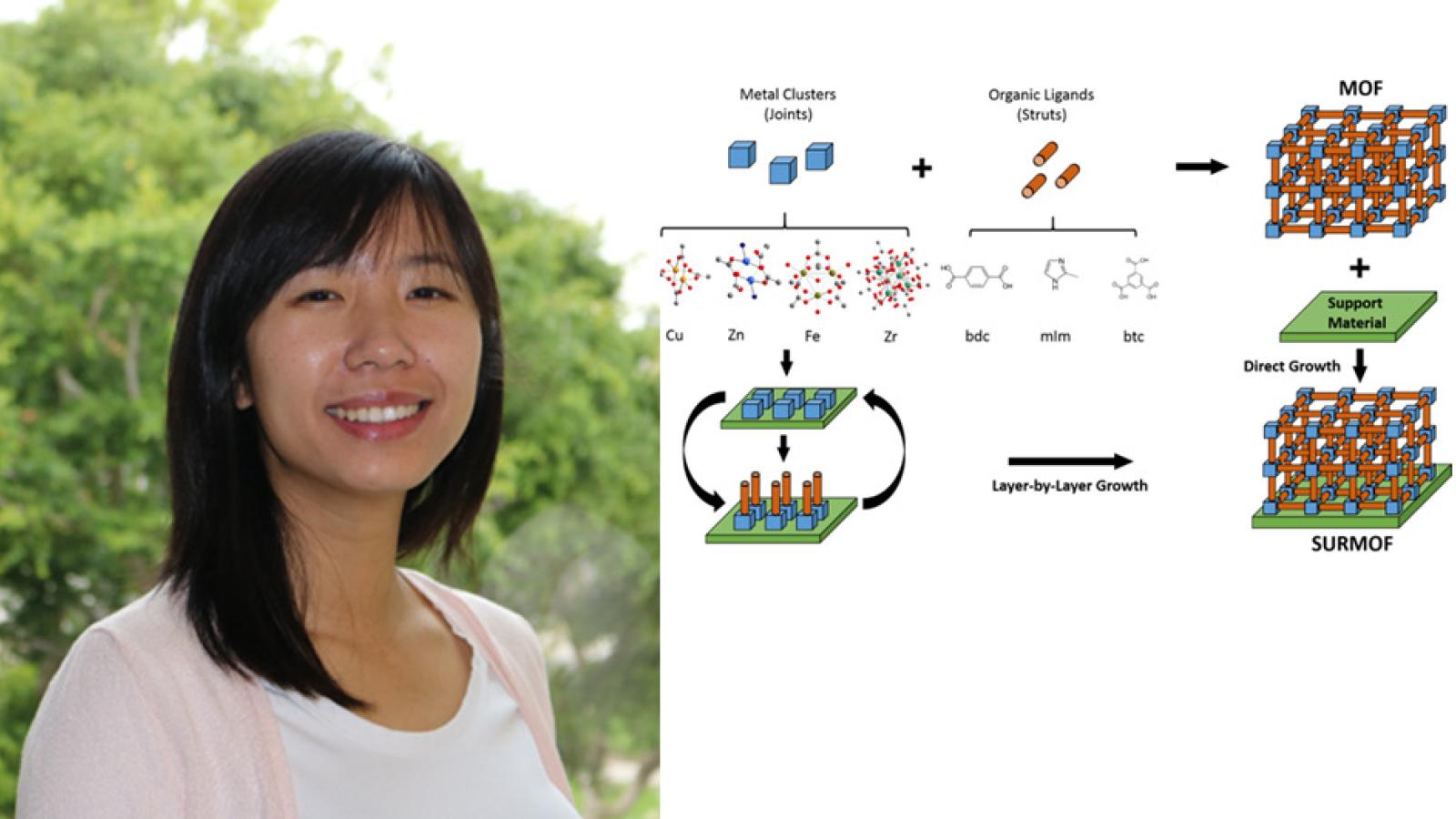 Fangyuan Tian, and formation of metal-organic frameworks on solid surfaces