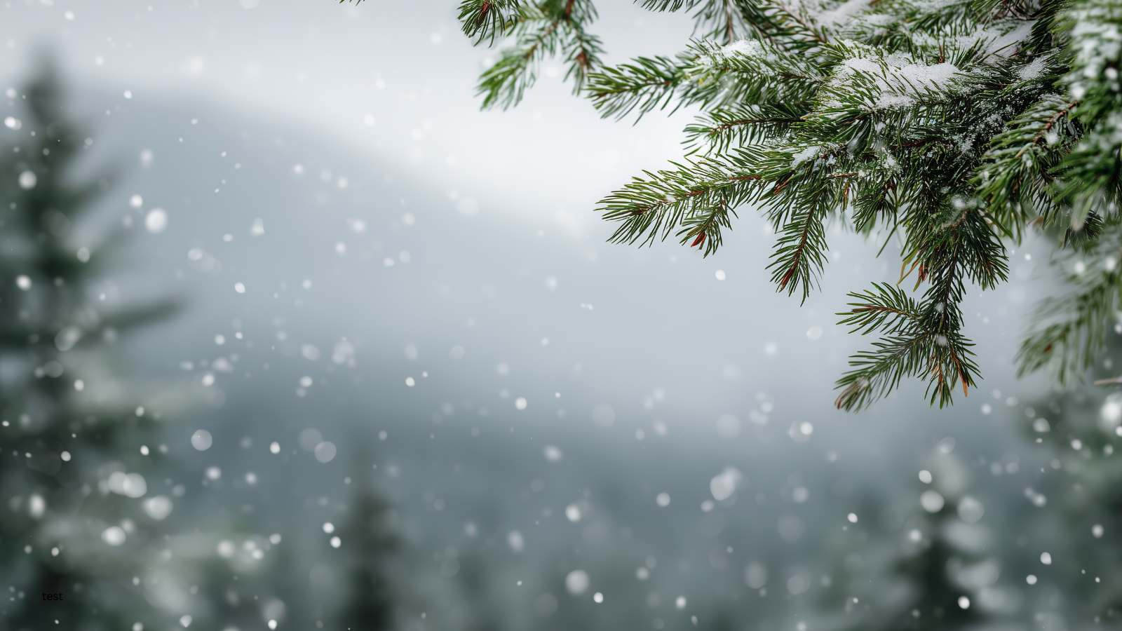 Picture of snowy trees