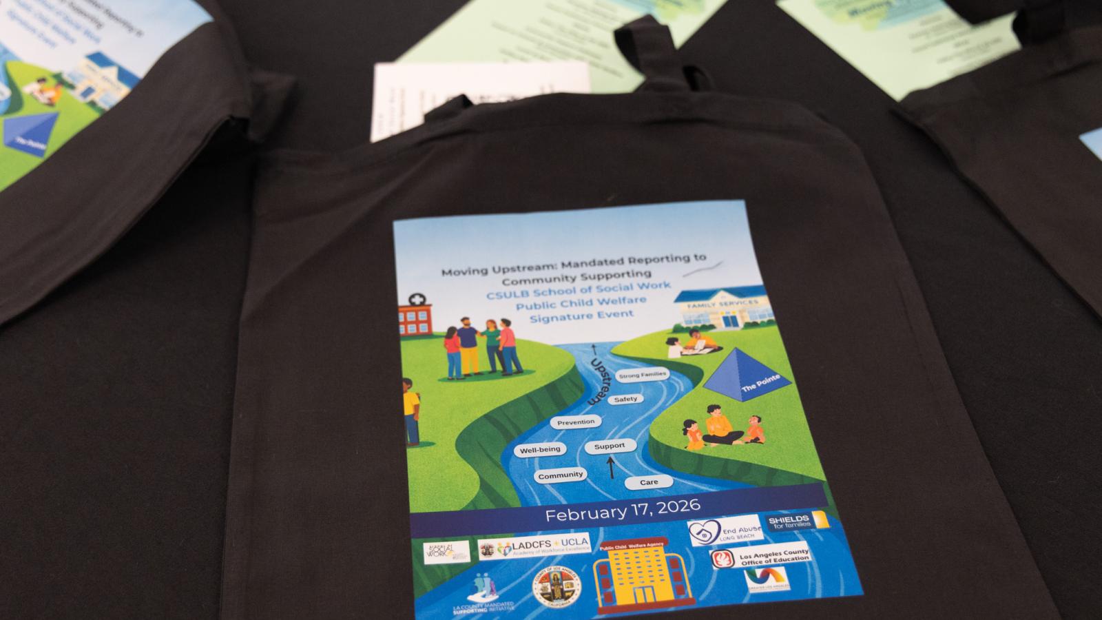 Public Child Welfare signature event flyer