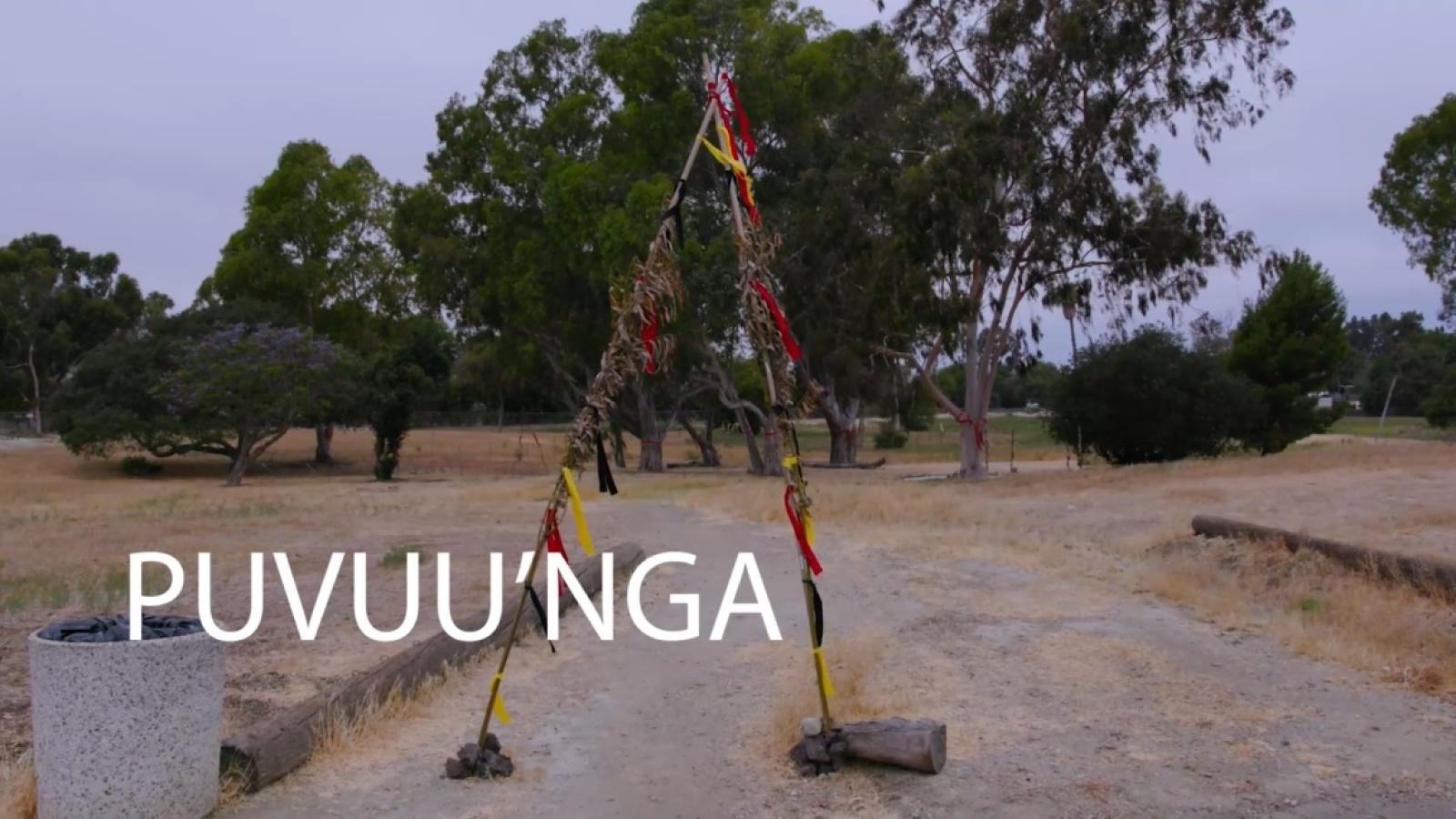 Puvuu'nga Informational Video