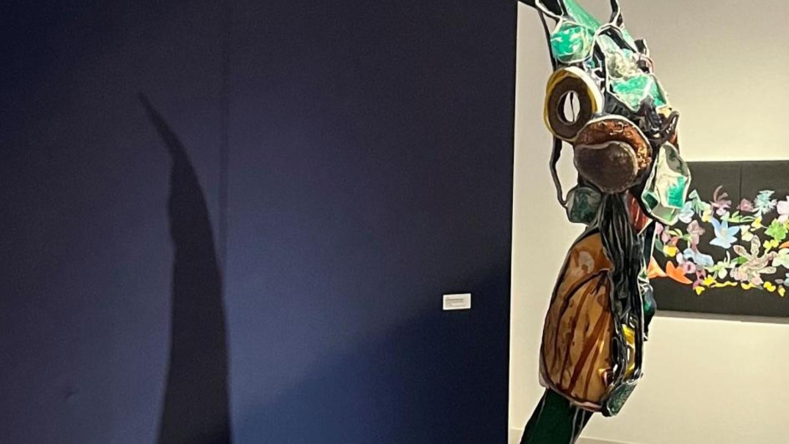 Solastalgia Exhibit