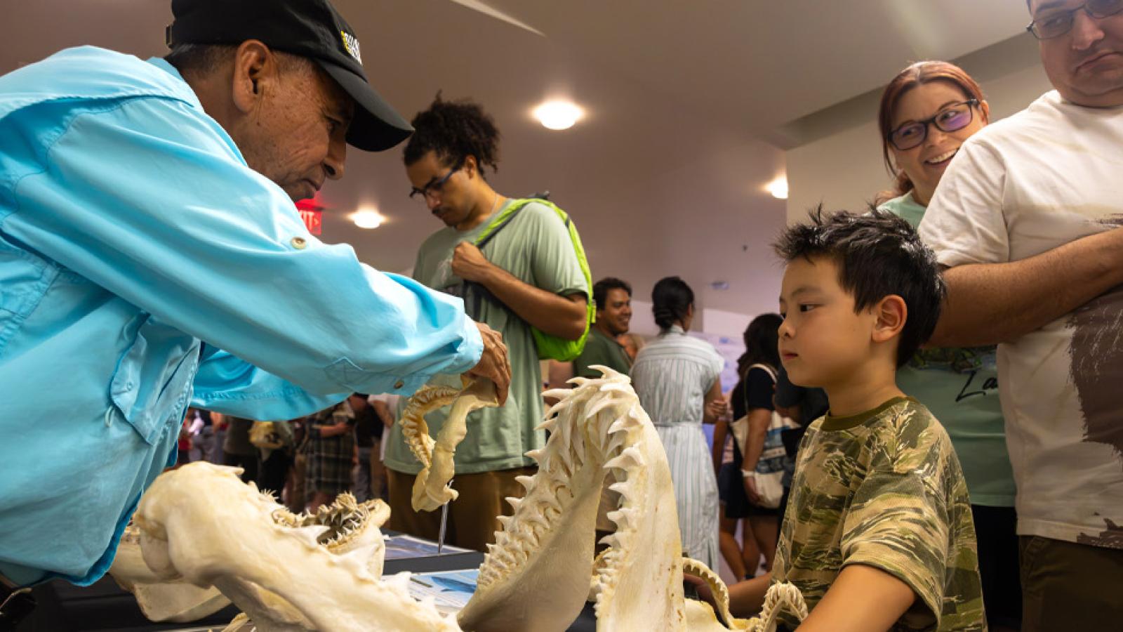 young child interacting with large shark jaw as Shark Lab volunteer points out features