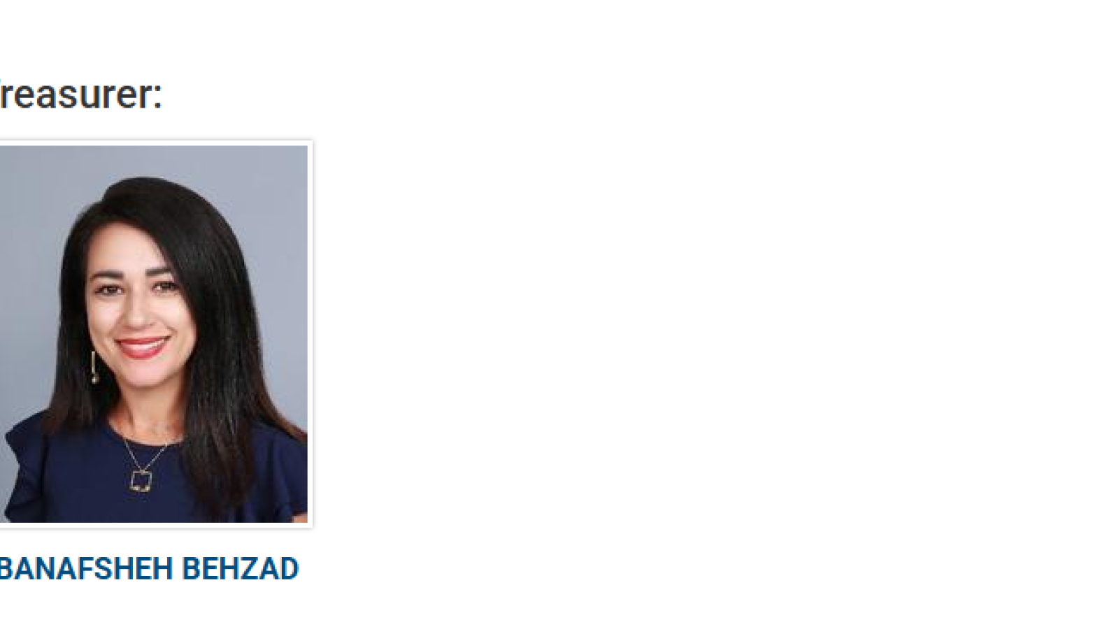  Banafsheh Behzad, Chair of the Department of Information Systems, has been elected to serve as the next Treasurer of the Institute for Operations Research and the Management Sciences (INFORMS