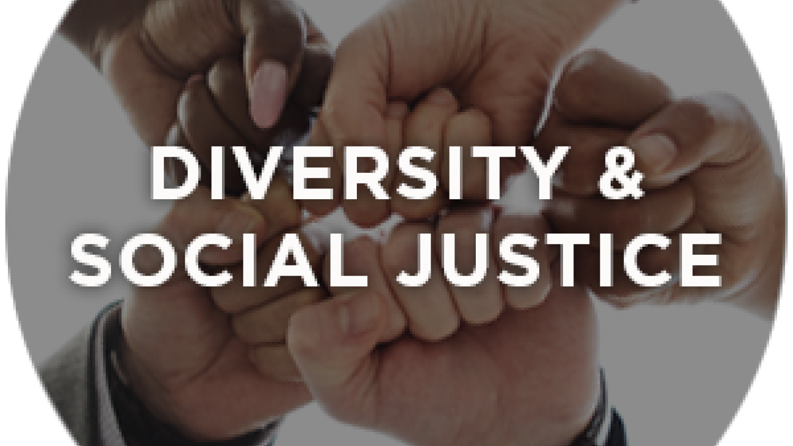 Diversity & Social Justice