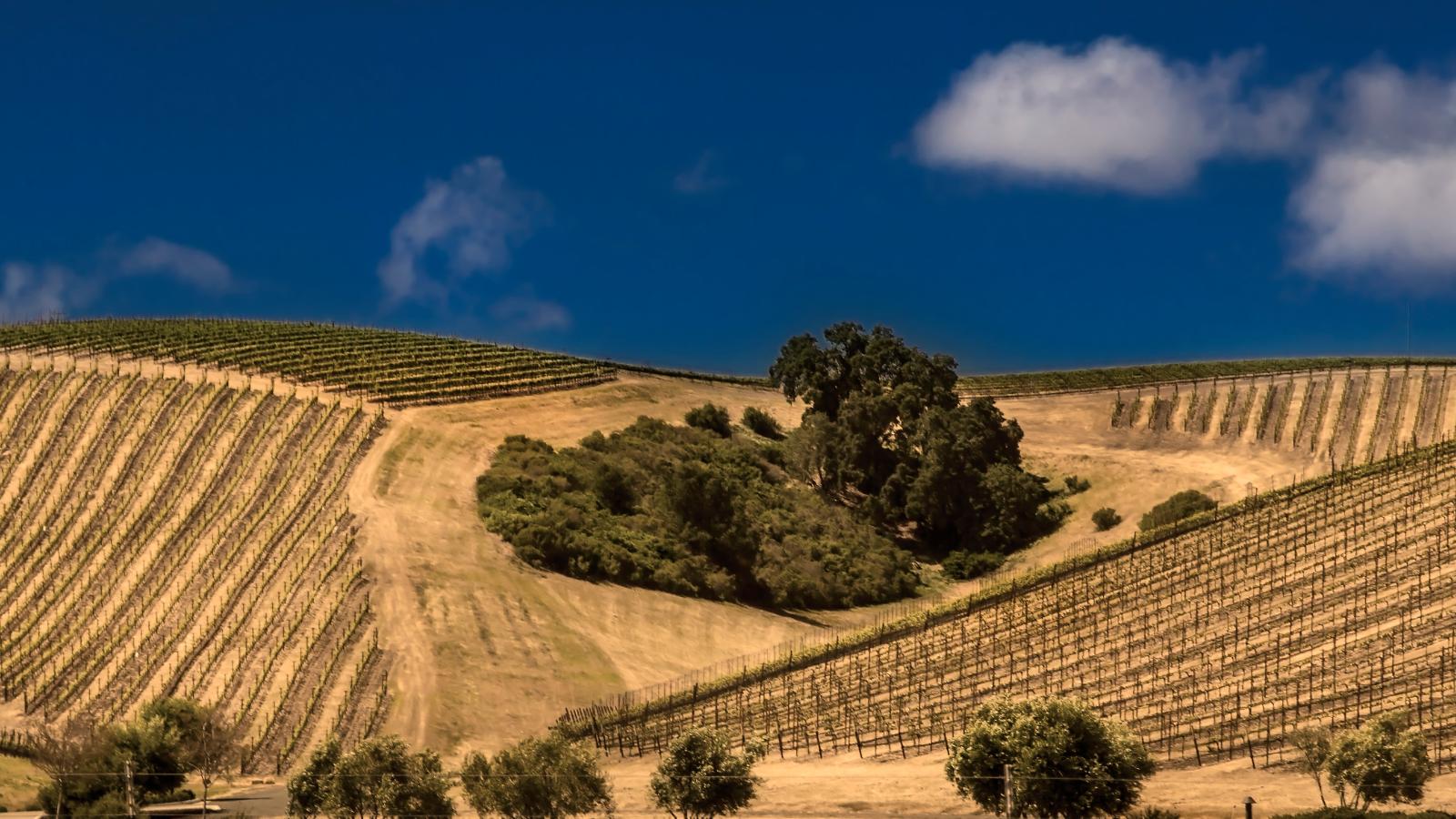 Paso Robles