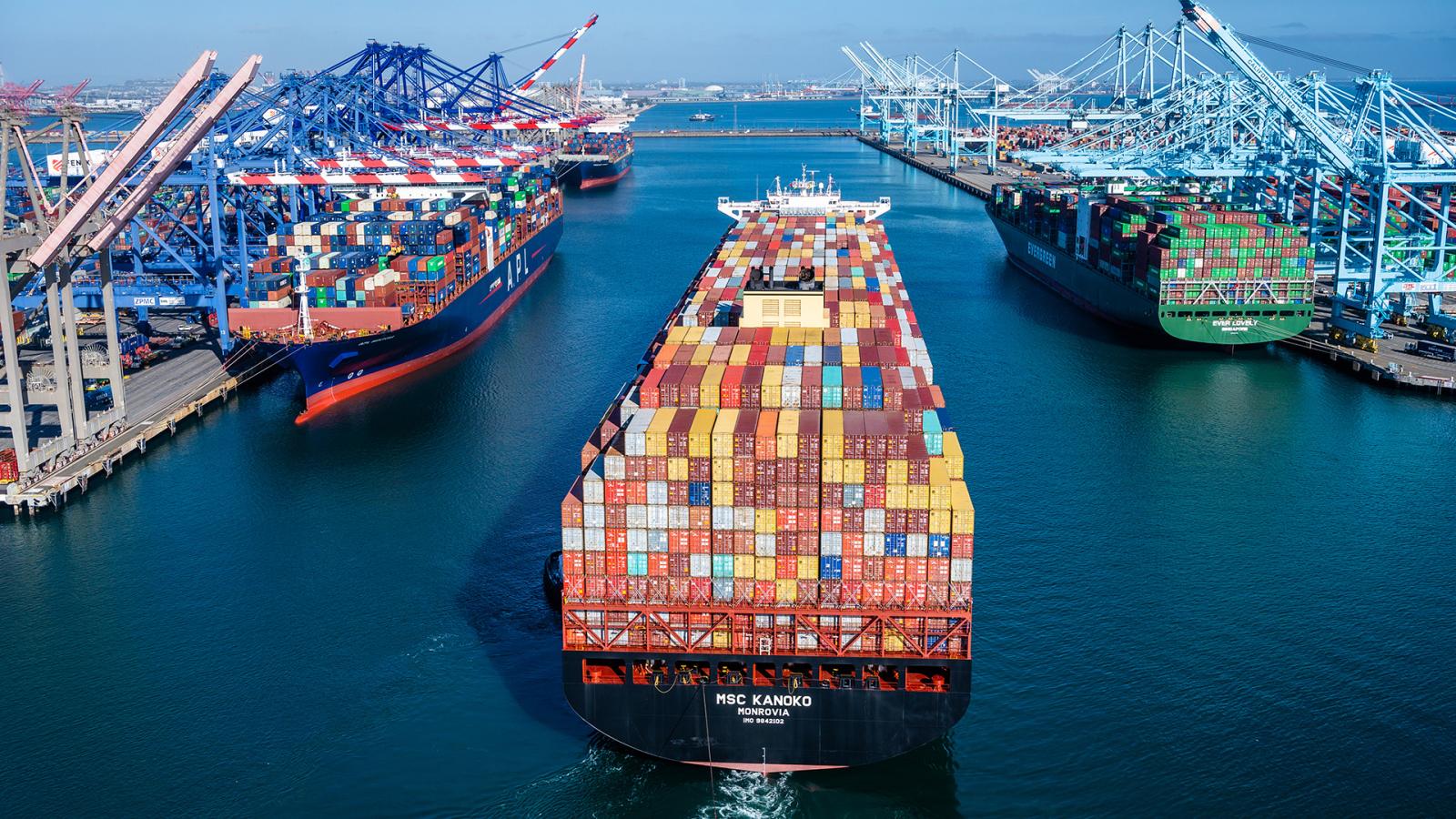 Ships docking in Long Beach Port