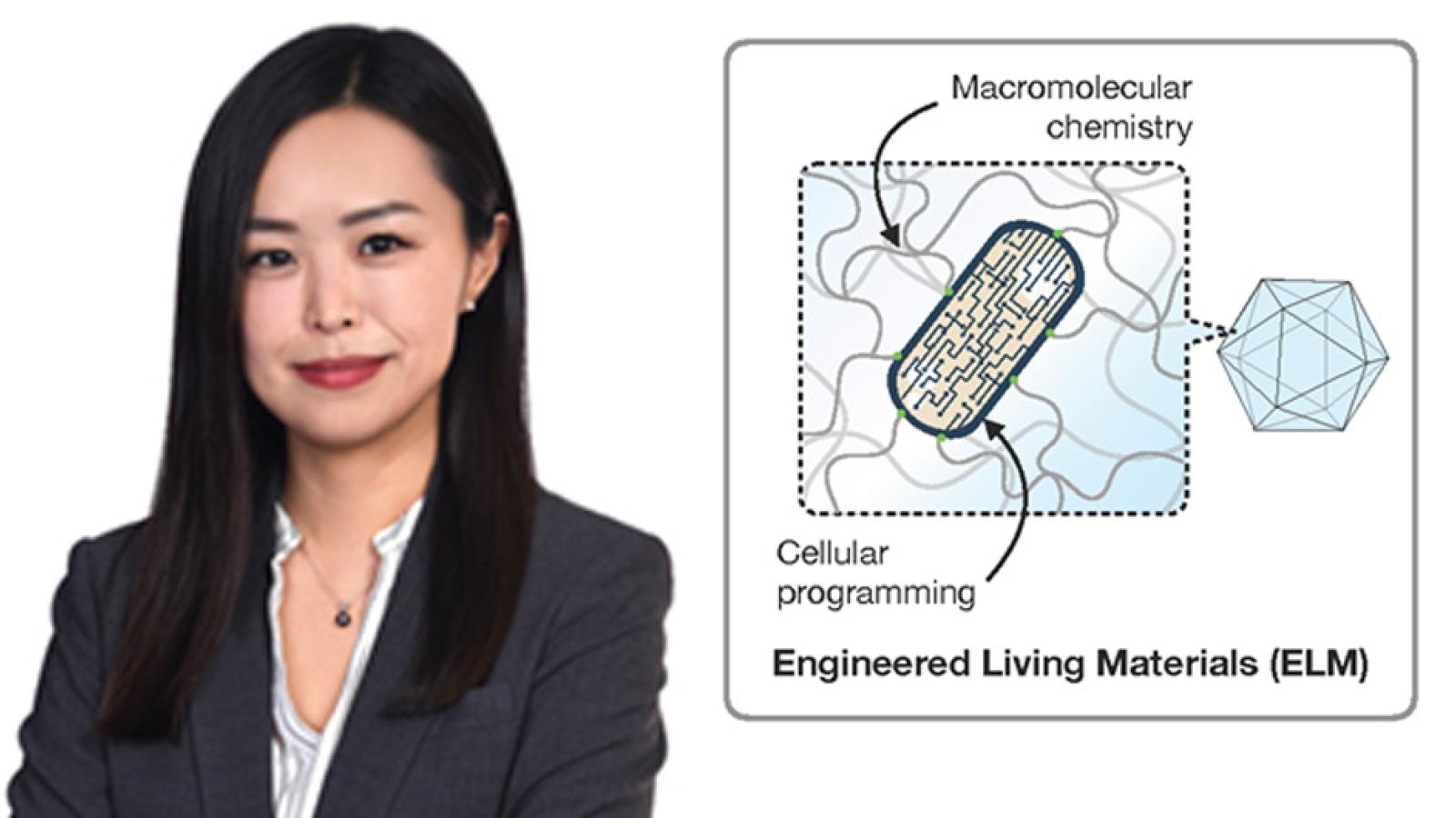 Seunghyun Sim, and engineered living materials