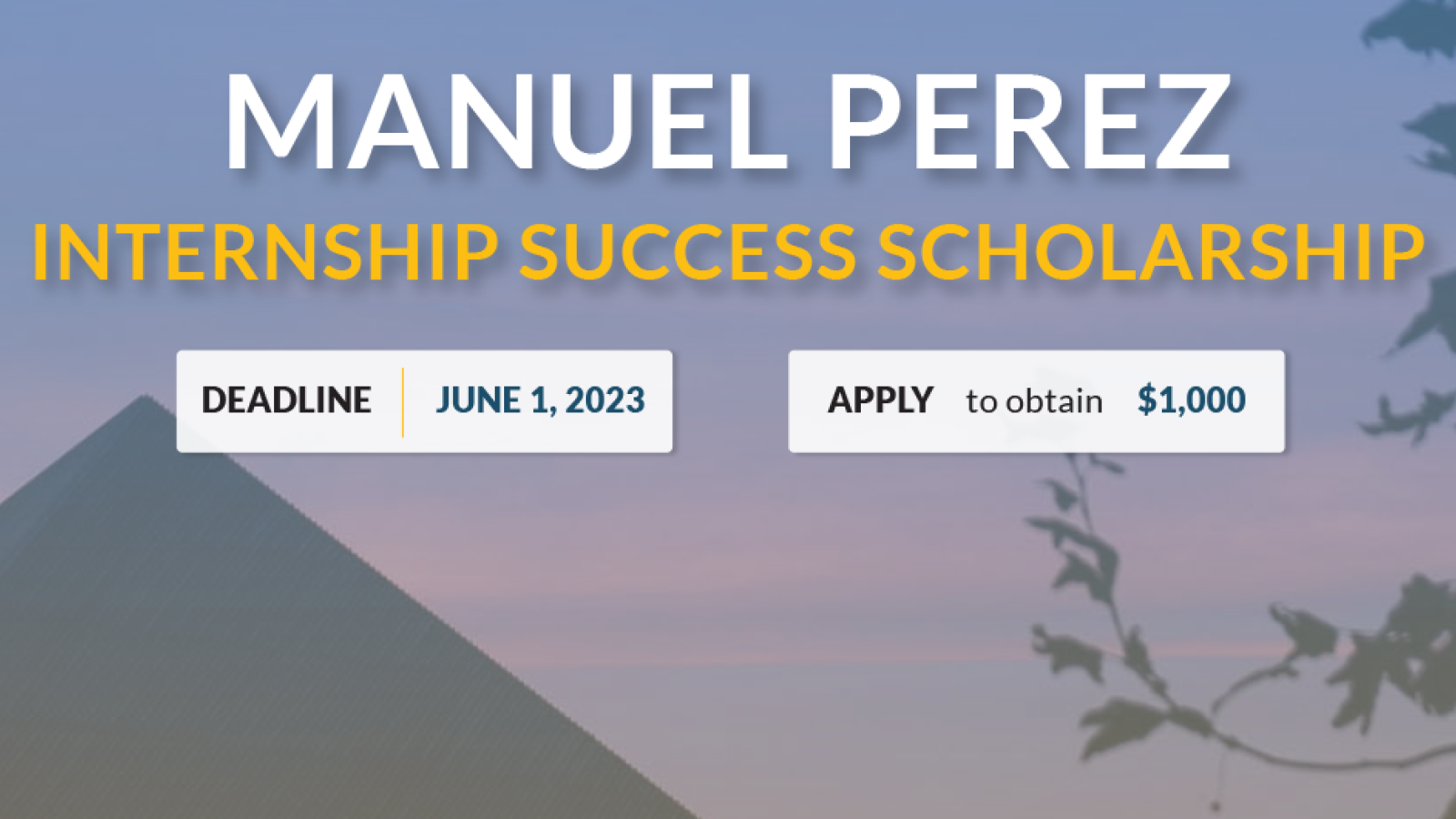 Manuel Perez Internship Success Scholarship