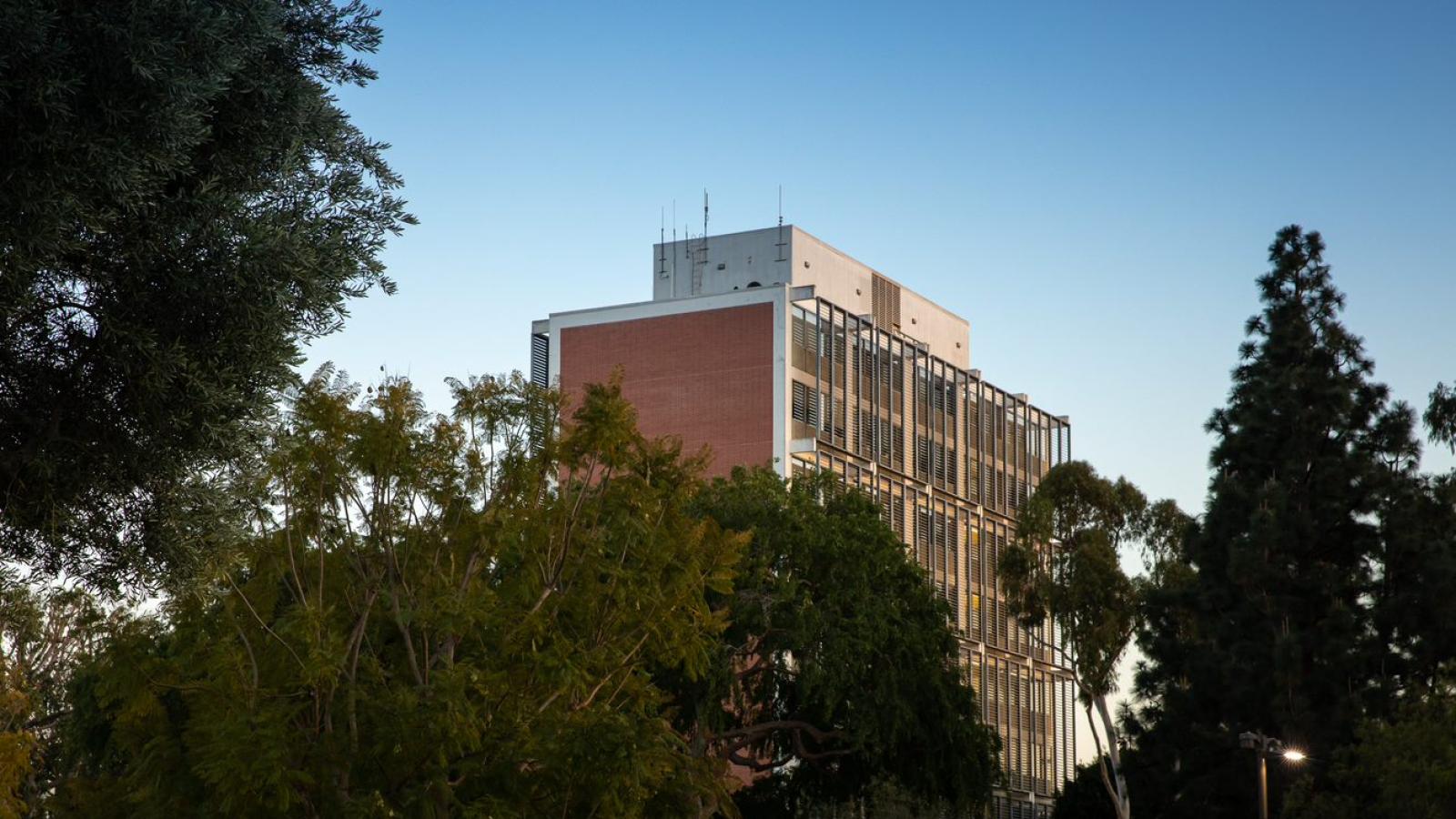 College of Liberal Arts