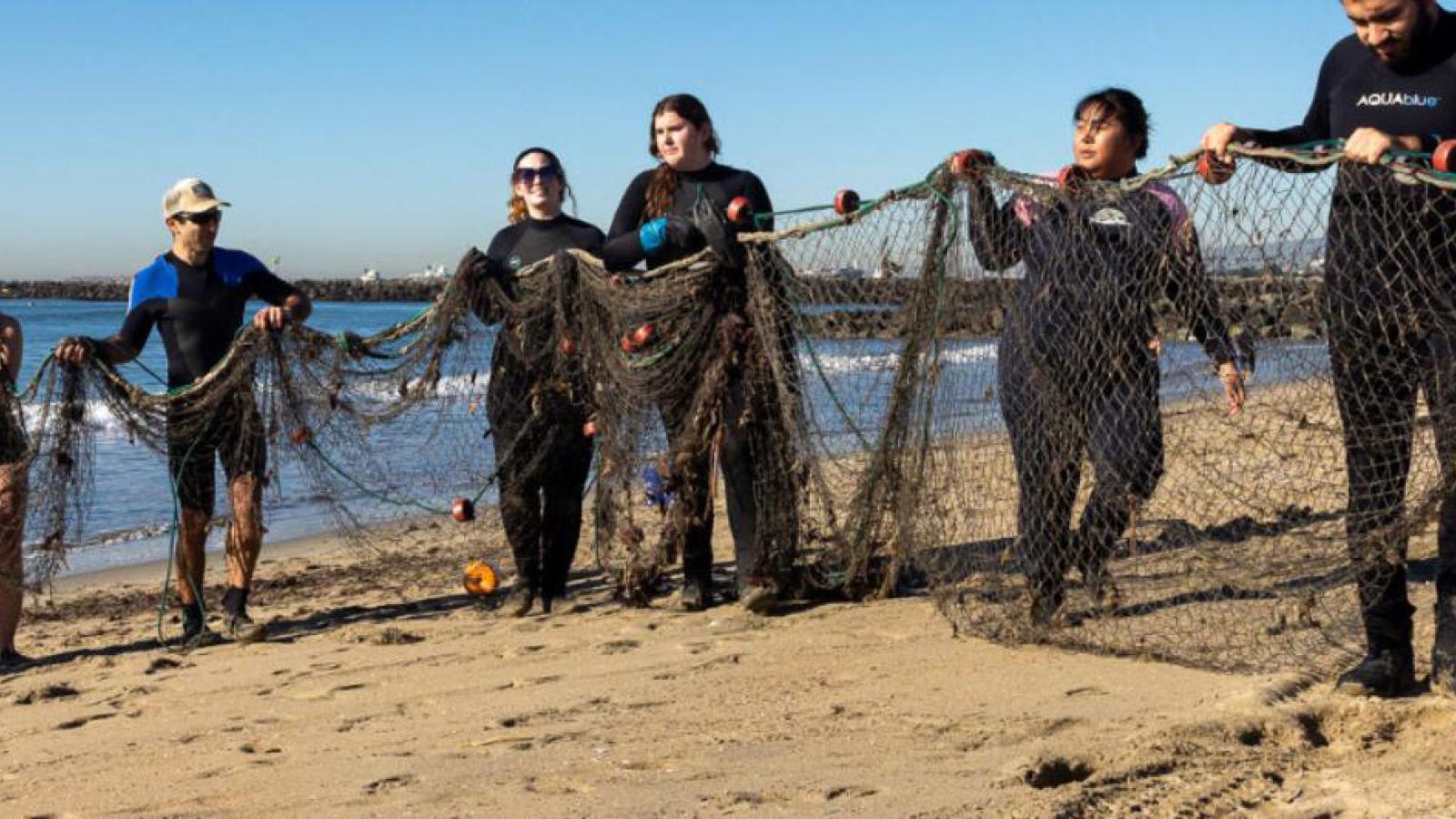 students on the beach pulling in nets