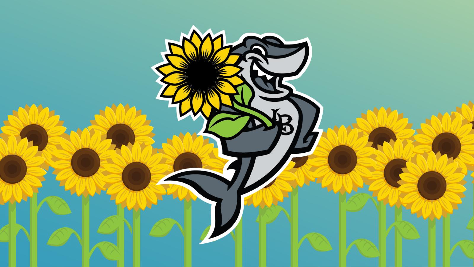 Elbee holding a sunflower with sunflowers in the background representing Hidden Disabilities. 