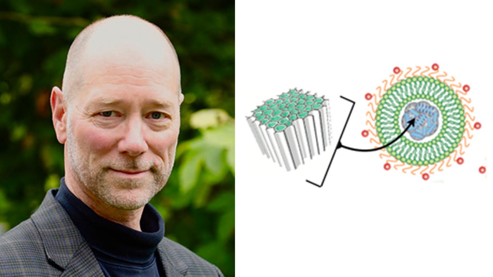 Michael Sailor, and fusogenic lipid coating