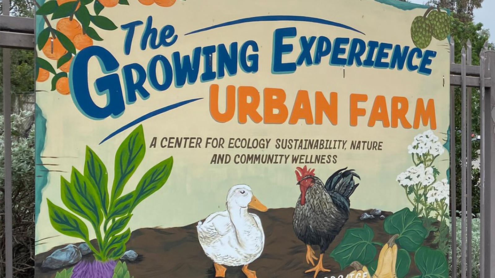 The Growing Experience Urban Farm