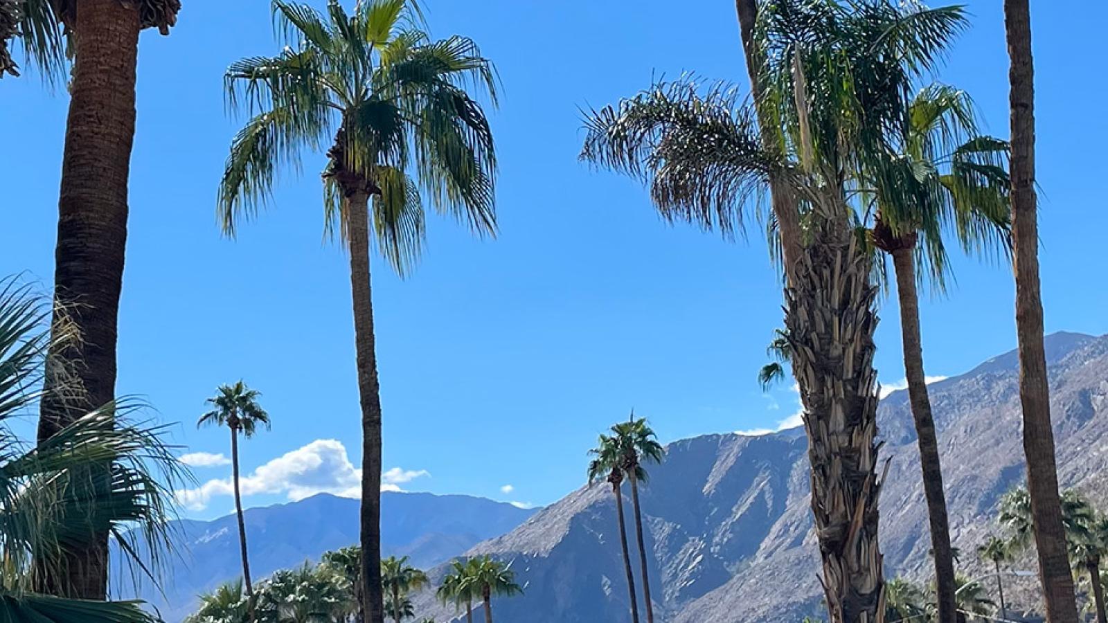 Palm Springs, CA