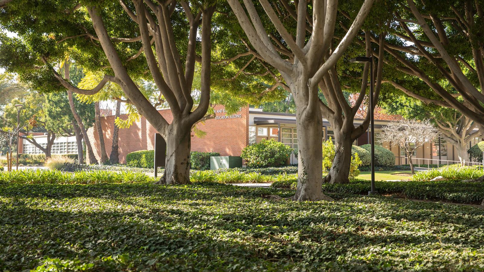 Exterior shot of the College of Education