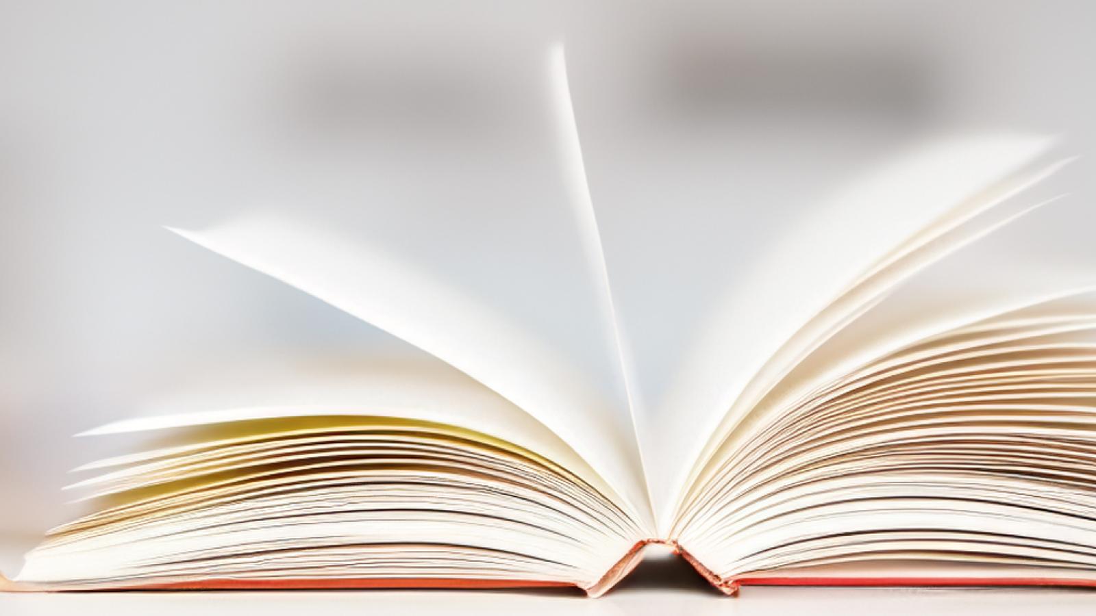 Faculty Publications