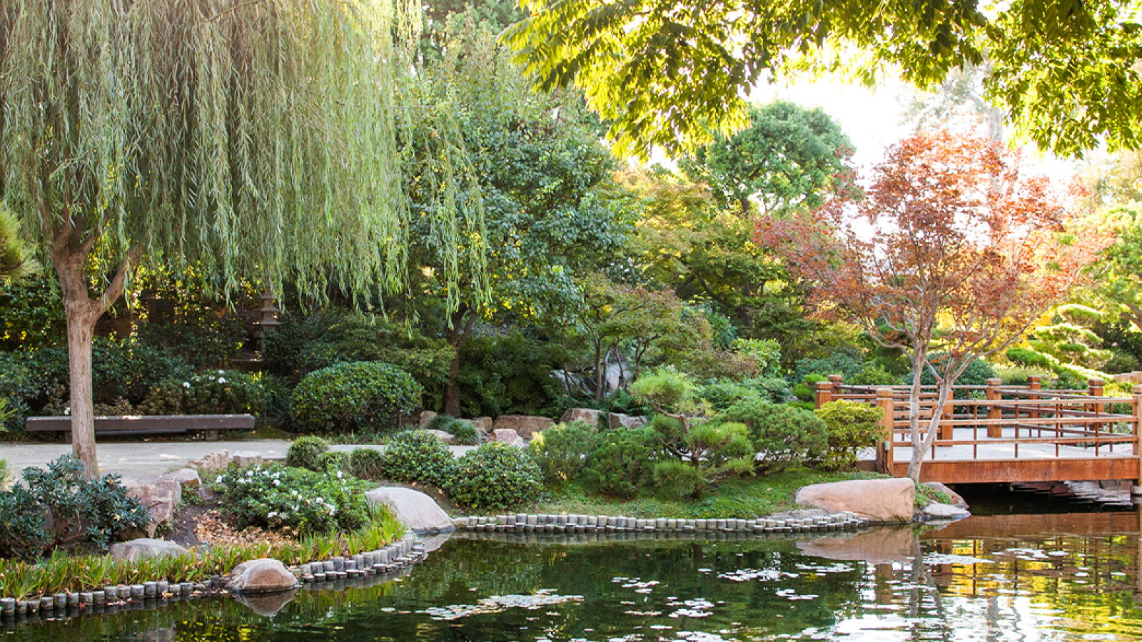 Japanese Garden image