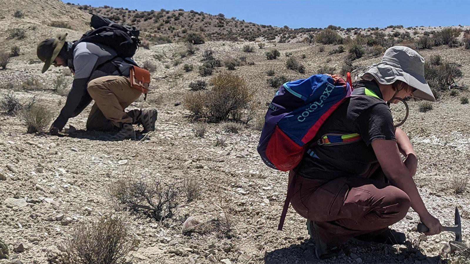 earth science students doing field work